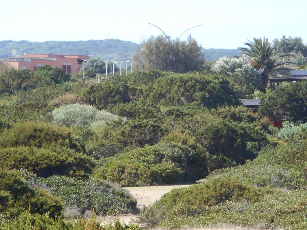 Le Case Punta Negra 斯廷蒂诺 外观 照片